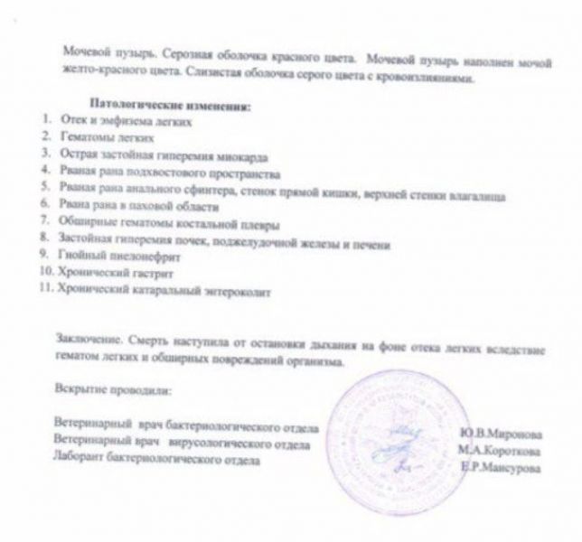 В Перми по факту истязания животных в муниципальном приюте возбудили уголовное дело