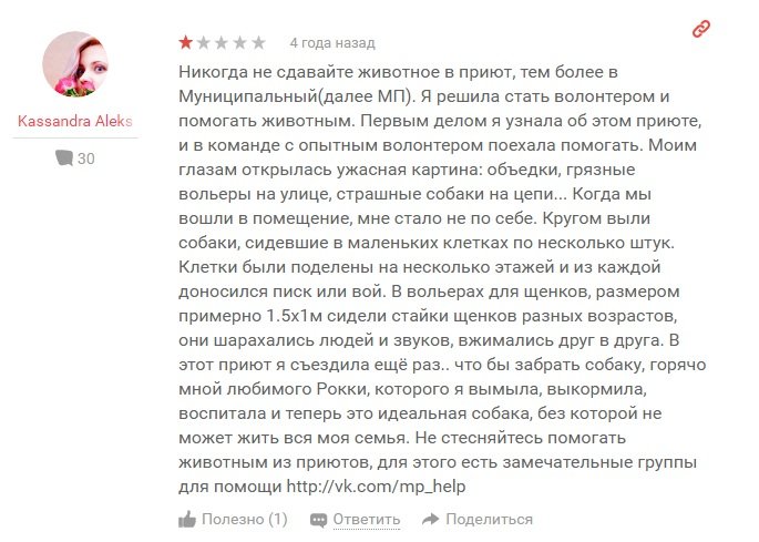 В Перми по факту истязания животных в муниципальном приюте возбудили уголовное дело