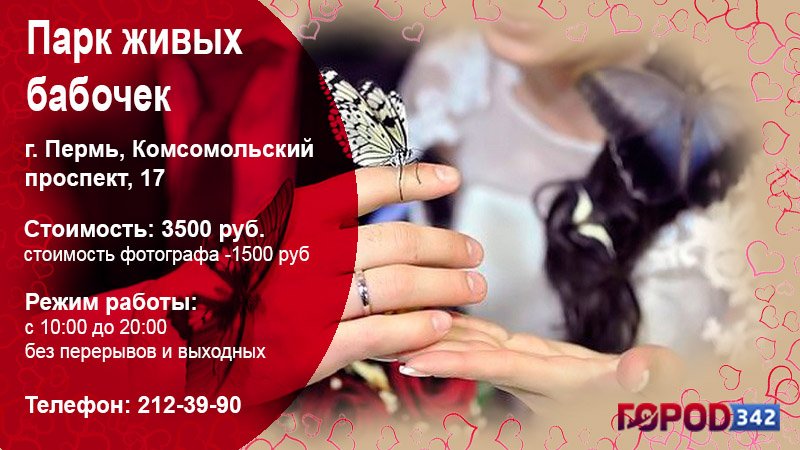 Куда сходить вдвоем? 21 небанальная идея в Перми и Пермском крае
