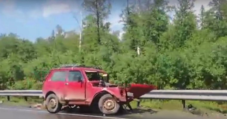 В Прикамье на трассе М-7 «Волга» в лобовом столкновении автомобилей пострадали три человека 