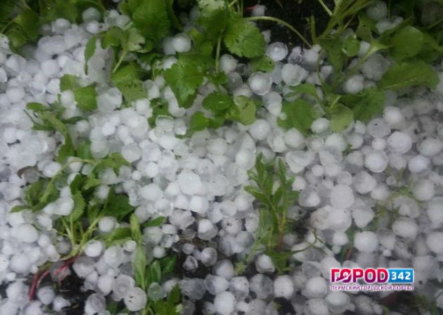 В Перми микрорайоны Голованово и Левшино засыпало крупным градом