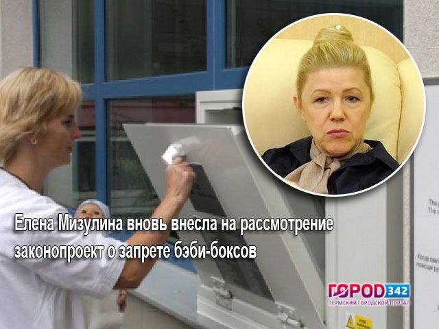 Госдума отклонила законопроект о запрете бэби-боксов, Мизулина внесла его повторно