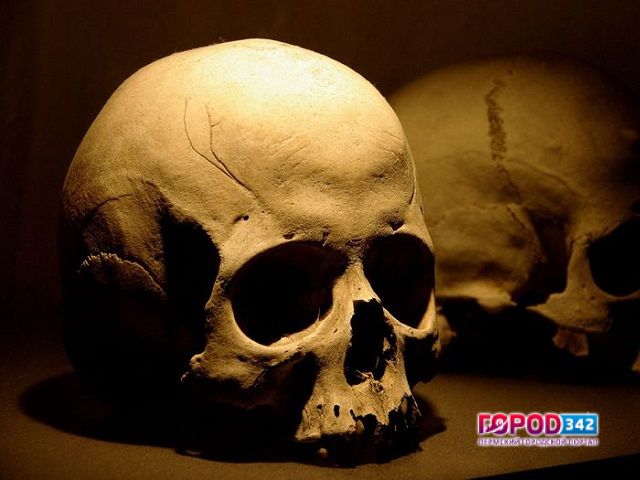 В Березниках дети, играя рядом с новостройкой, нашли человеческие кости