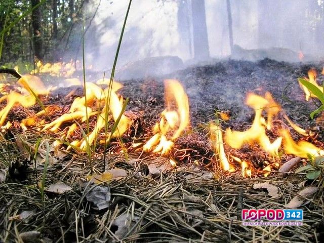 Завтра в Прикамье ожидается высокая пожарная опасность (4 класс)