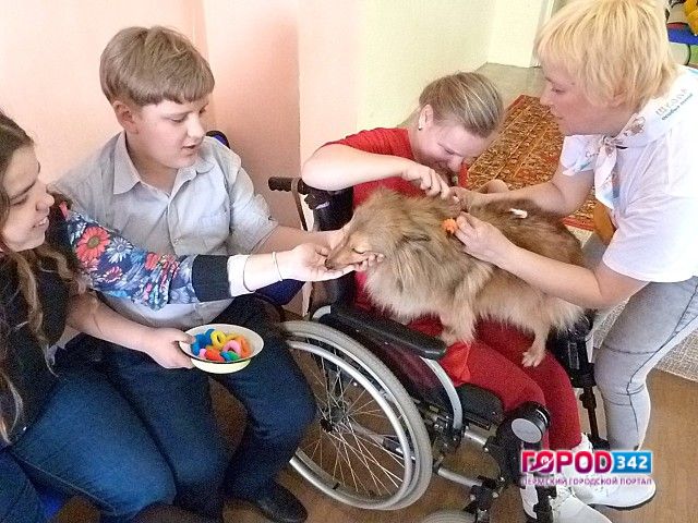 Подведение итогов Проекта «Точка роста»