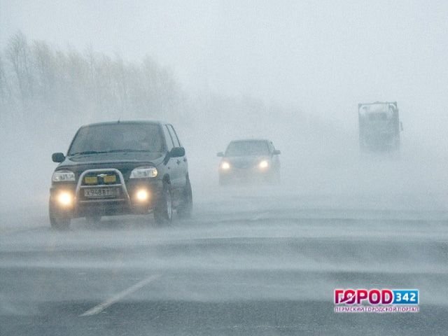 МЧС: 31 октября на территории Пермского края ожидается сильный ветер с порывами до 20 м/с