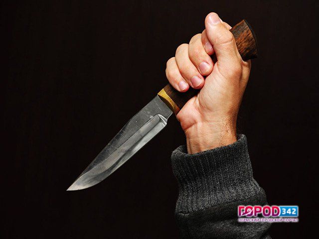 Пырнул соседей ножом, чтобы не спорили