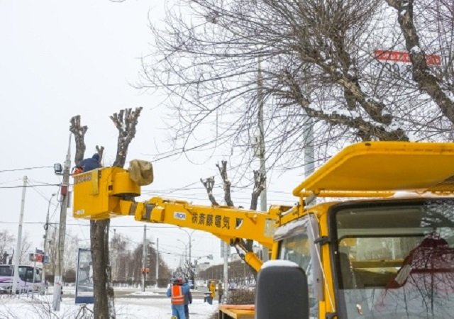 15 млн рублей поступило в бюджет Перми за счет штрафов за незаконный снос зеленых насаждений