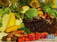 Накануне осени в Перми проводятся урожайные ярмарки