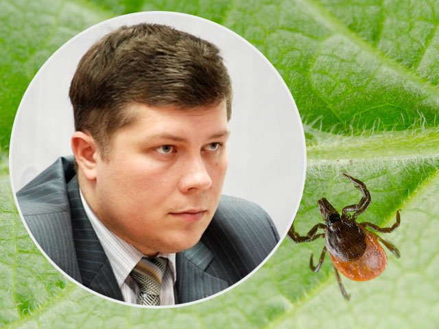Минздрав Прикамья сорвал сроки по закупке вакцины от клещевого энцефалита