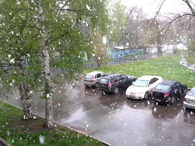 Скоро лето. На севере Прикамья выпал снег.  Шанс для не насмотревшихся на снежинки
