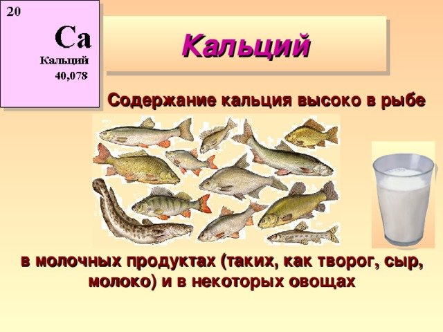 Для чего нам нужен кальций и где он содержится