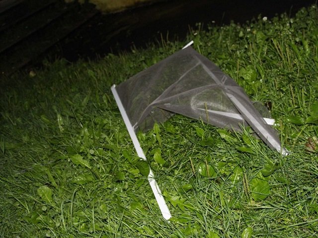 В Перми из окна второго этажа выпал 3-летний ребенок — москитная сетка не стала препятствием для малыша