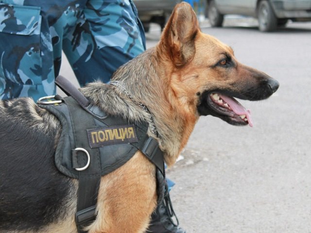 Пропавший в Перми 12 сентября по дороге в «Леруа Мерлен» художник-керамист Денис Григораш найден погибшим
