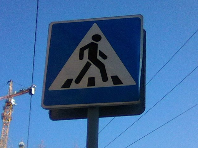 В Перми водитель «Тойоты» без прав сбил на пешеходном переходе ребенка