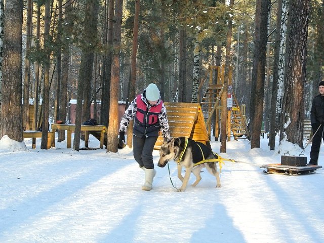 В Перми состоится чемпионат по вейт-пуллингу