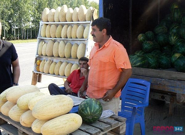 Рейды против дынь