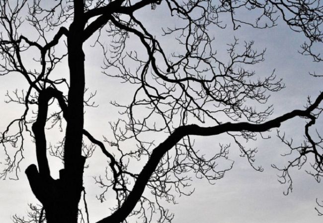 В Прикамье погибла женщина-почтальон