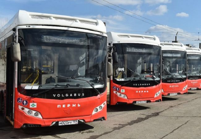 В Перми изменится расписание маршрутов №11 и №30