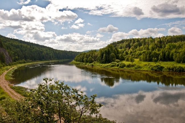 В Прикамье спасли тонувшего мальчика