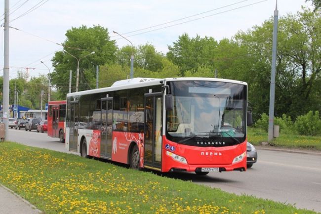 Пожилая пермячка упала в автобусе и сломала руку и ребро