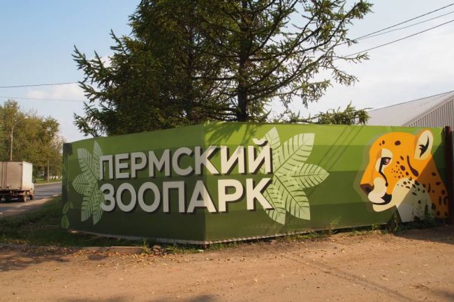 Запуск нового зоопарка обсуждают власти Прикамья