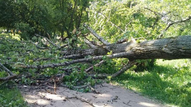 Ураган в Прикамье