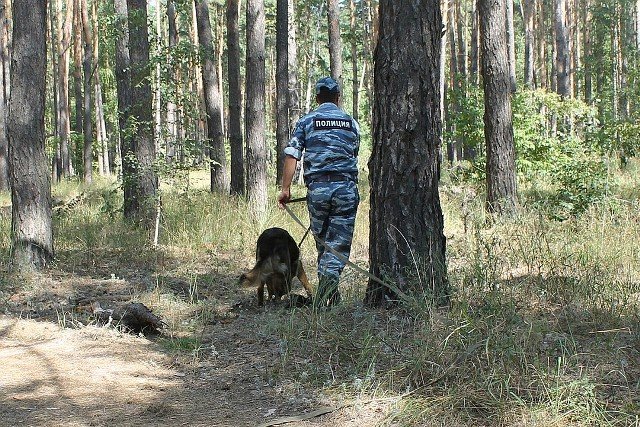 В микрорайоне Южный нашли человеческие останки