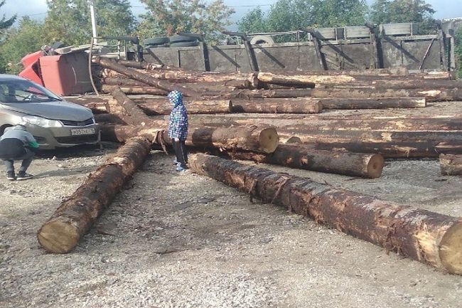 В Прикамье на трассе перевернулся лесовоз