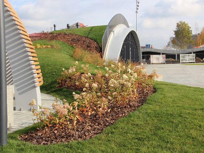 В Перми стартовал второй этап озеленения эспланады