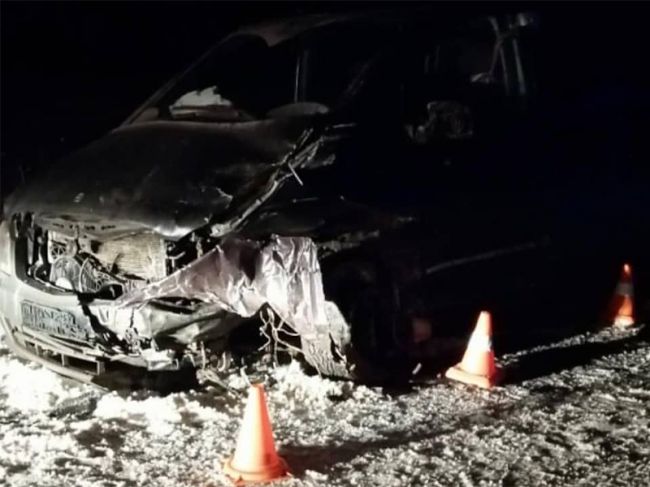 В Пермском крае на трассе погибли супруги, воспитывающие семь приемных детей