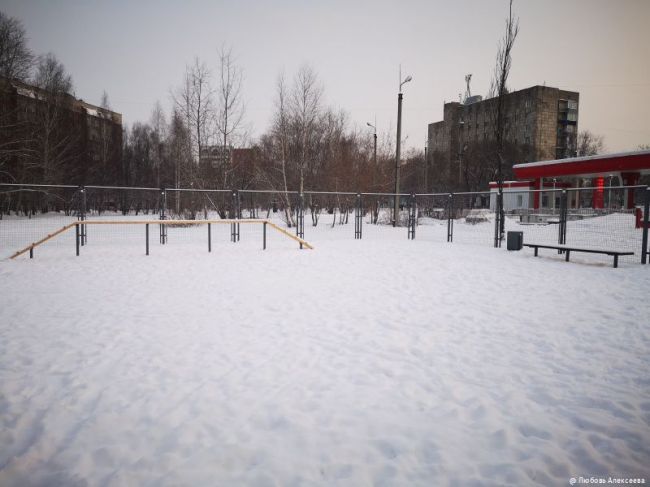 В трех районах Перми появились новые площадки для выгула собак