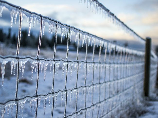 МЧС: в Пермском крае ожидается сильный мокрый снег