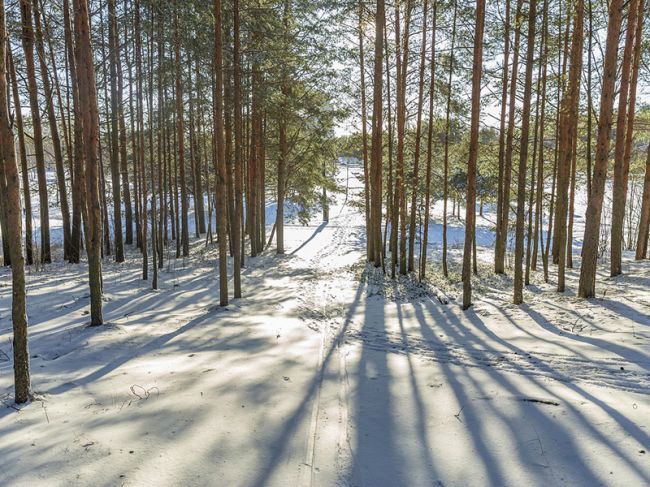 В Пермском крае вновь ожидается потепление до -2°