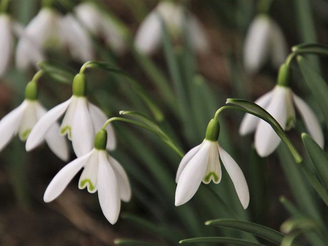 Синоптики рассказали о погоде в марте в Пермском крае