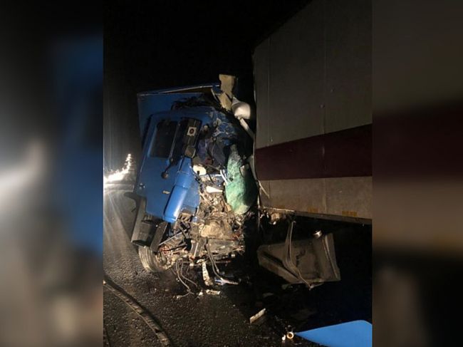 На трассе в Пермском крае столкнулись две фуры – погиб дальнобойщик