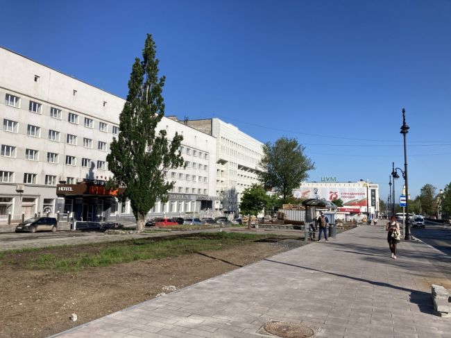 В Пермский край придет аномальная жара до +33°