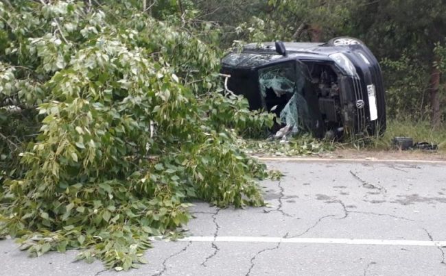На трассе в Прикамье в страшной аварии погибла девушка