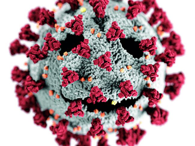 За сутки в Пермском крае выявлено 69 случаев коронавируса