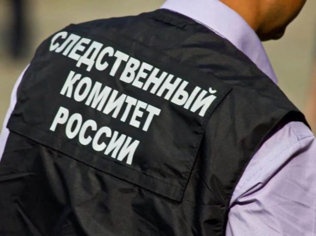 Следователи проводят проверку после смерти ребенка на борту самолета в Перми