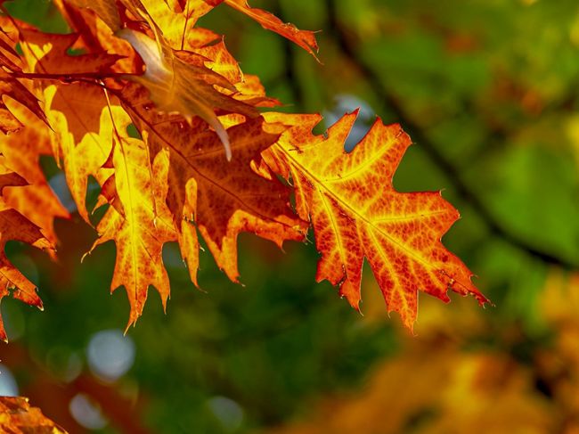 Синоптики рассказали о погоде на выходные в Пермском крае