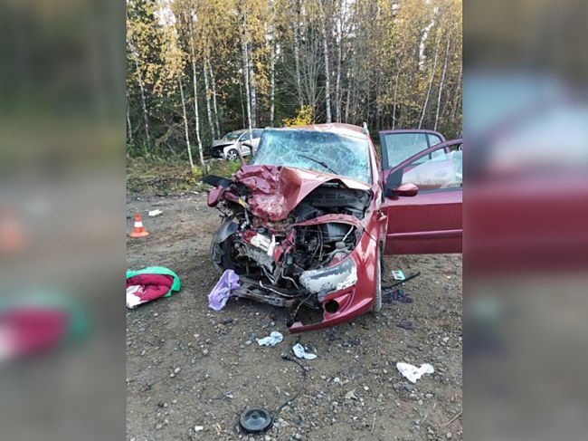 На трассе в Прикамье в страшной аварии смяло китайский автомобиль
