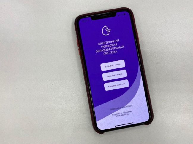 В Прикамье родители смогут следить за успеваемостью детей через смартфон