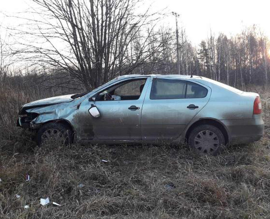 В Пермском крае на трассе опрокинулась иномарка