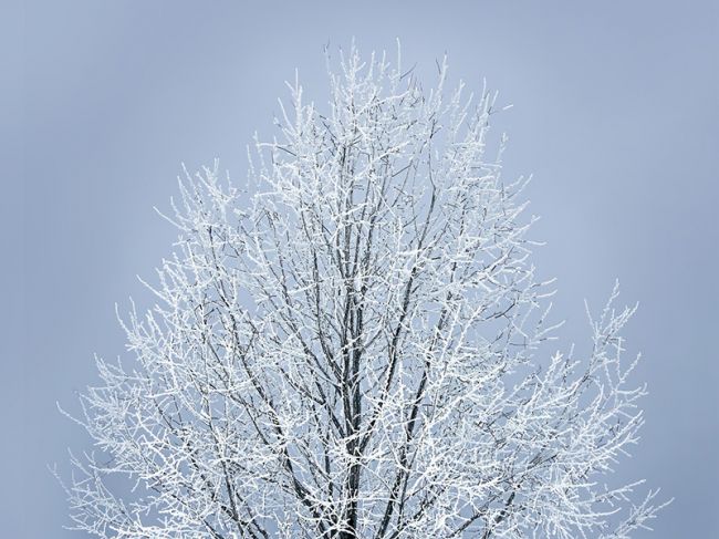 Февраль в Пермском крае ожидается самым холодным за 10 лет