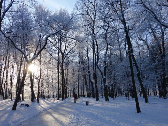 В праздничные выходные в Прикамье похолодает до -27°