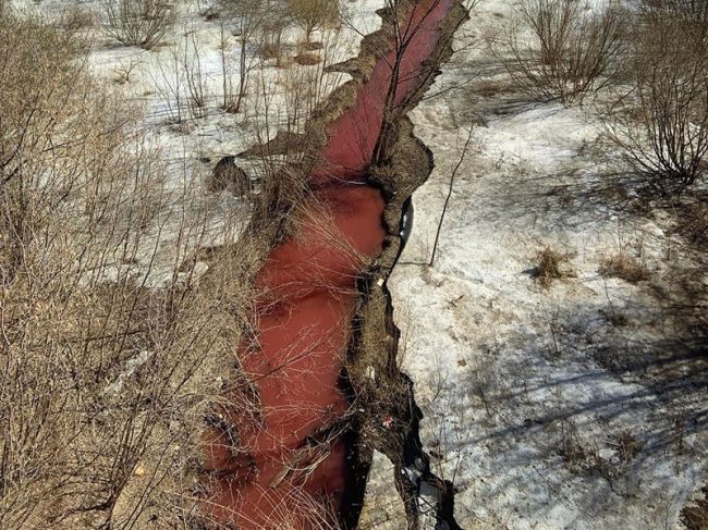 Река Егошиха в центре Перми окрасилась в багровый цвет