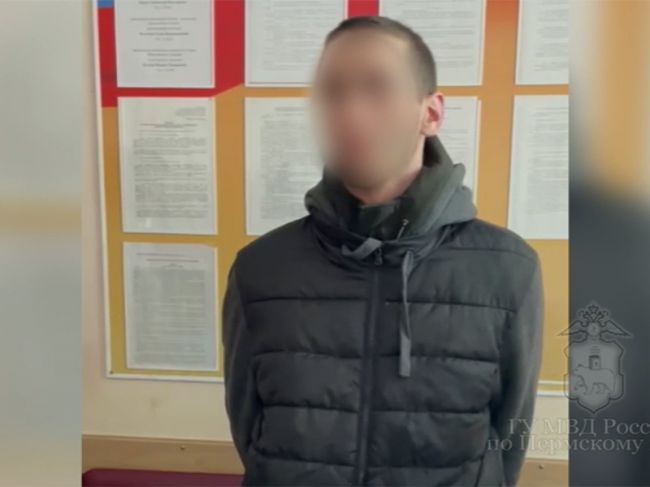 В Пермском крае осудили молодого закладчика