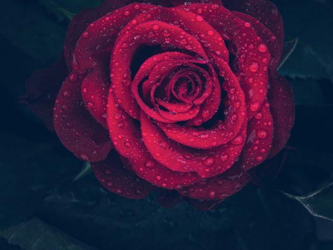 В Пермском крае ожидаются дожди, туман и грозы