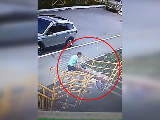 Средь бела дня! В соцсети выложили видео нападения на женщину в Перми